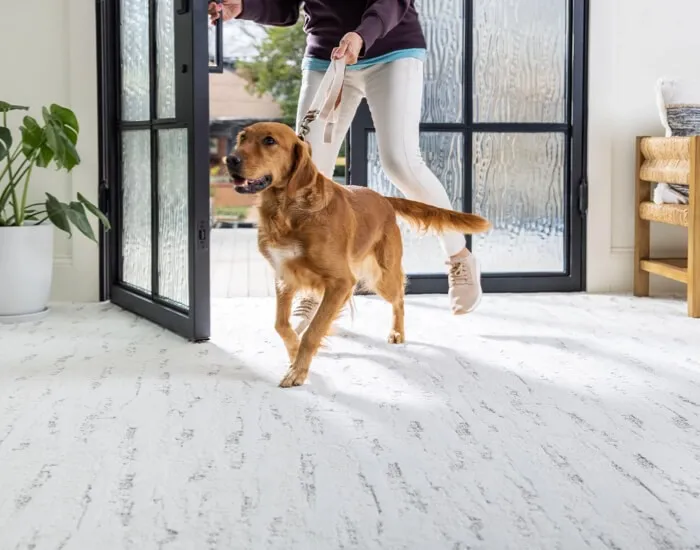 Pet Perfect | St.Francis Flooring Inc.