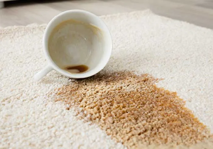 Area rug care | St.Francis Flooring Inc.